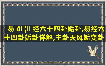 易 🦟 经六十四卦姤卦,易经六十四卦姤卦详解,主卦天风姤变卦乾为 🦍 天